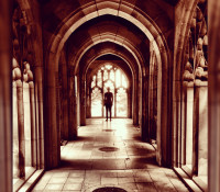 hbf_img_website header_alyssa church arches