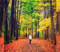 hbf_img_website header_alyssa red leaves green trees with dogs