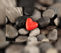 hbf_img_website header_red heart in pebbles